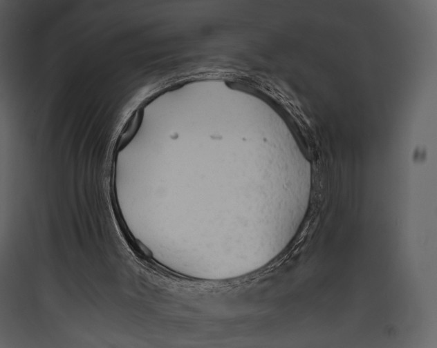 X0000089370003200707131647