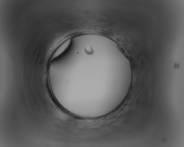 X0000089370005200707131647