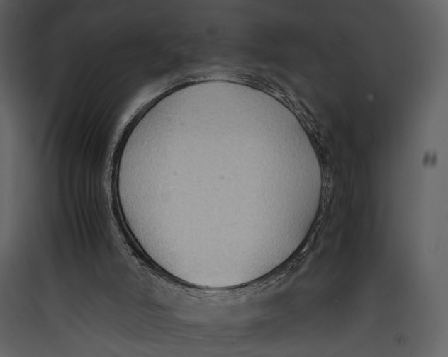 X0000089370006200707131647