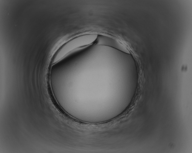 X0000089370007200707131647