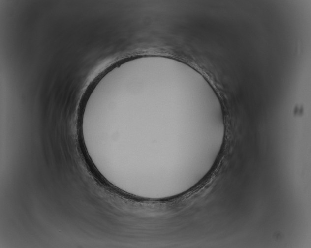 X0000089370008200707131647