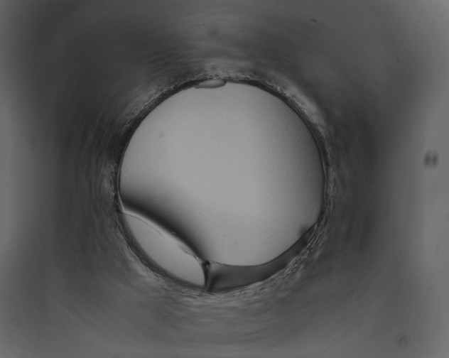 X0000089370009200707131647