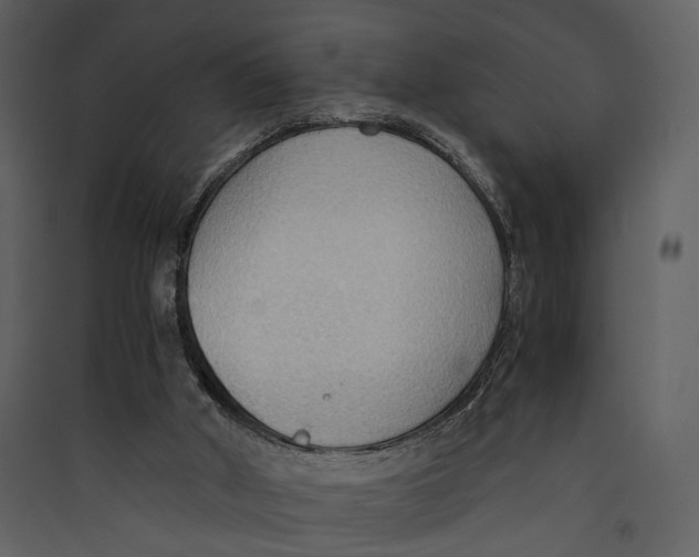 X0000089370010200707131647