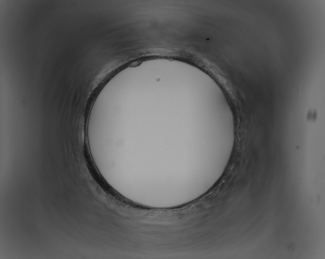 X0000089370011200707131647