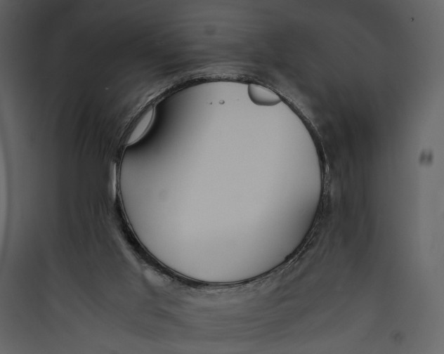 X0000089370013200707131647