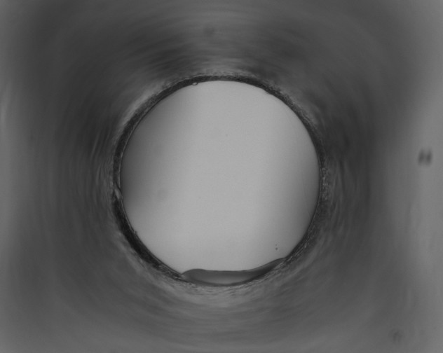 X0000089370015200707131647