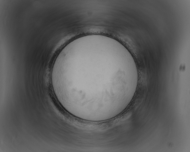 X0000089370016200707131647