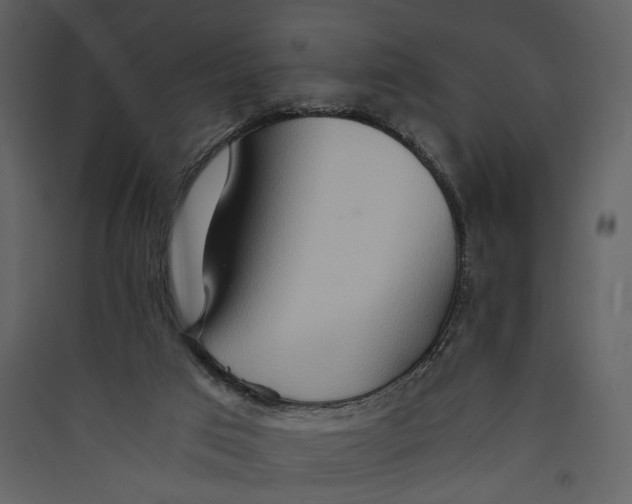 X0000089370017200707131647