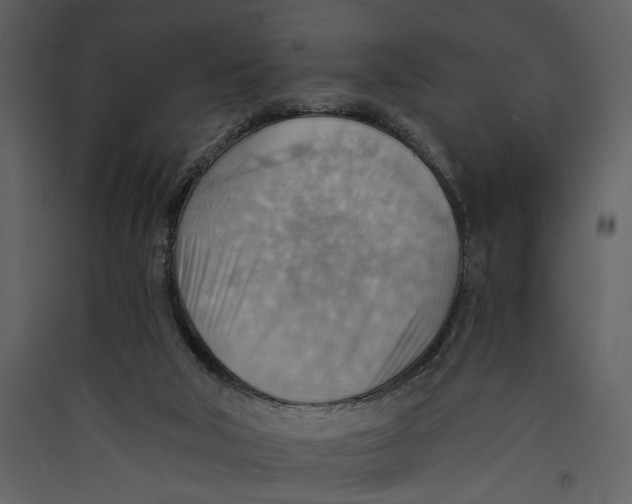 X0000089370018200707131647