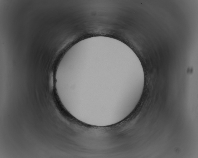 X0000089370020200707131647