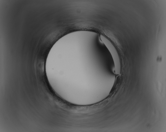 X0000089370021200707131647