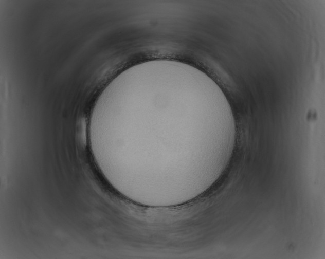 X0000089370022200707131647