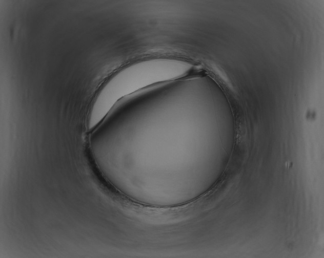 X0000089370023200707131647