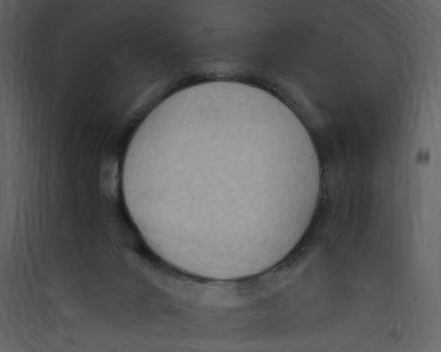 X0000089370024200707131647