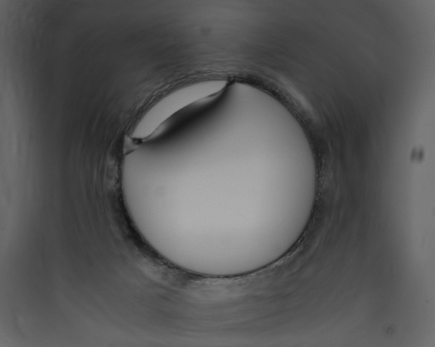 X0000089370025200707131646