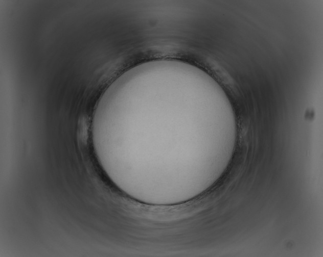 X0000089370026200707131646