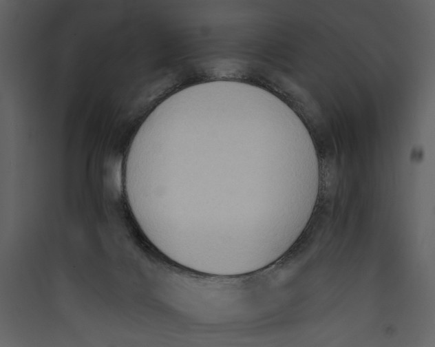 X0000089370028200707131646