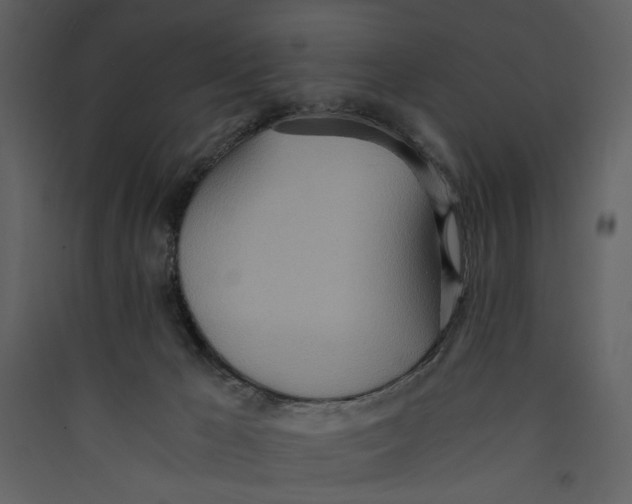 X0000089370029200707131646