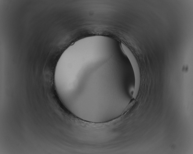 X0000089370031200707131646