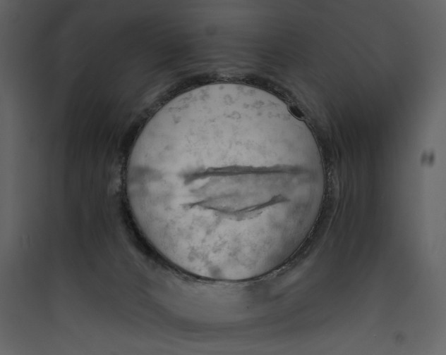 X0000089370032200707131646