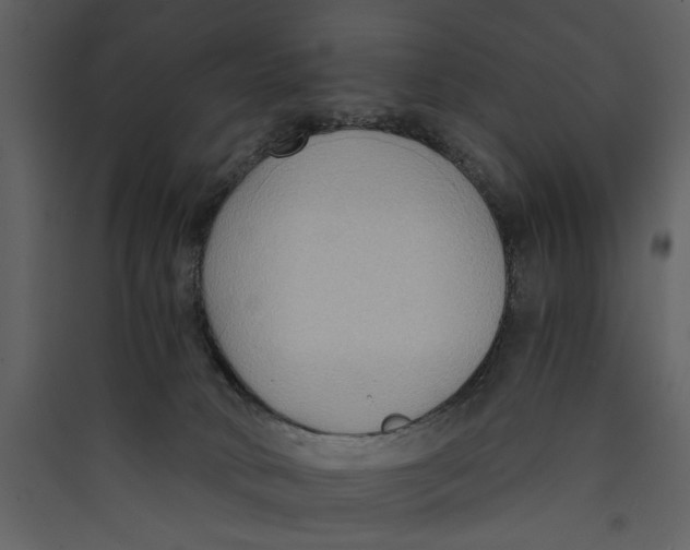 X0000089370034200707131646