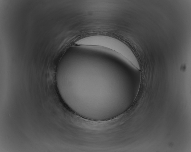 X0000089370035200707131646