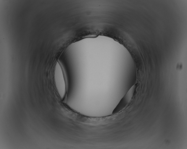 X0000089370037200707131646