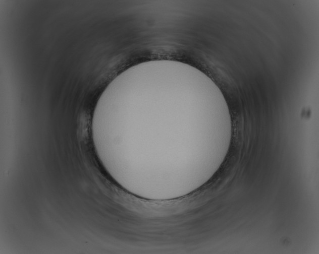 X0000089370038200707131646