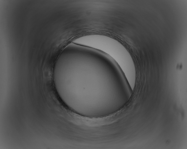 X0000089370039200707131646