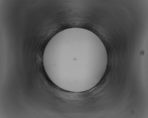 X0000089370040200707131646