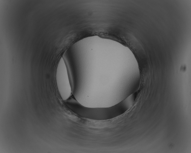 X0000089370041200707131646