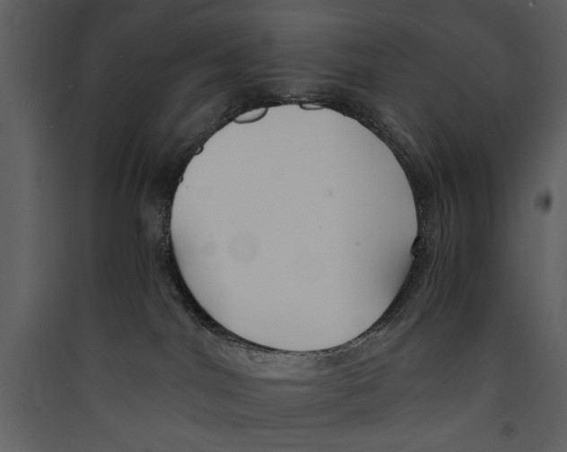 X0000089370044200707131646