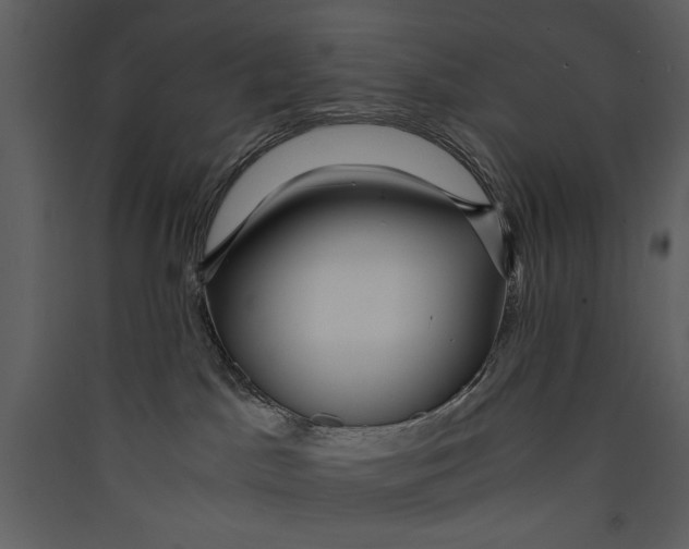 X0000089370045200707131646