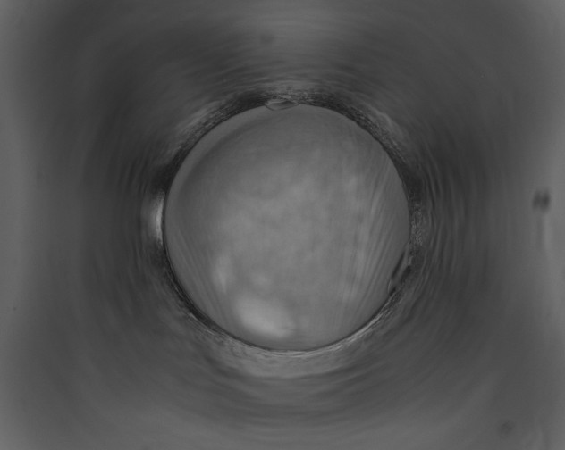 X0000089370047200707131646