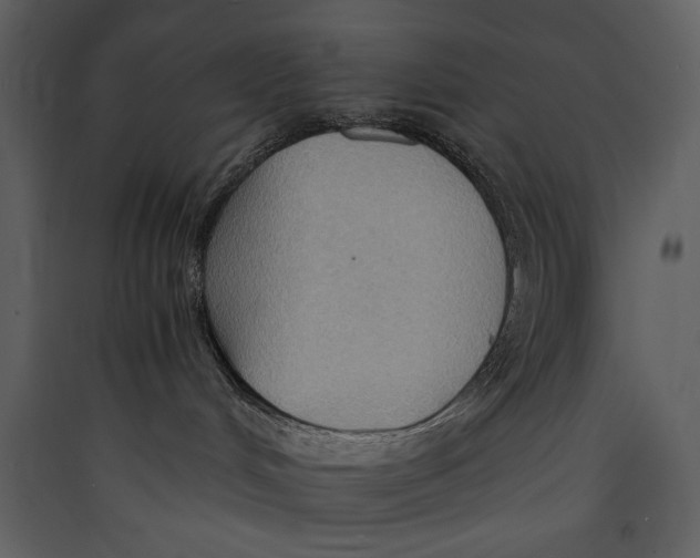 X0000089370048200707131646