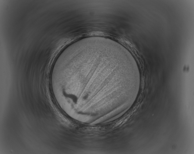 X0000089370049200707131645