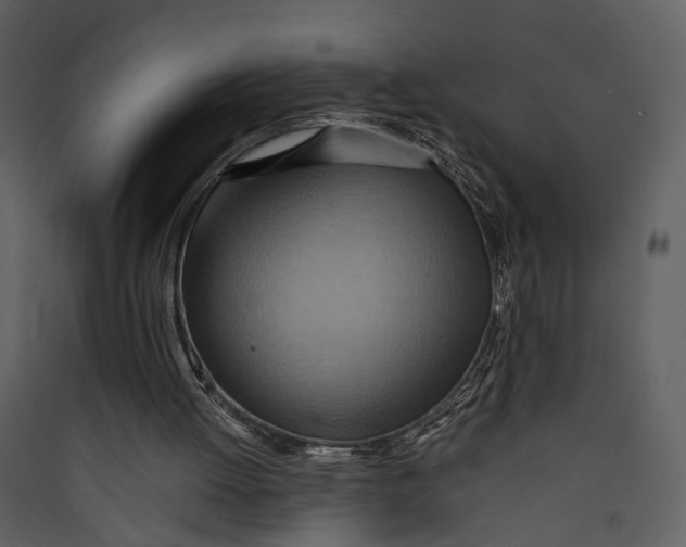 X0000089370052200707131646