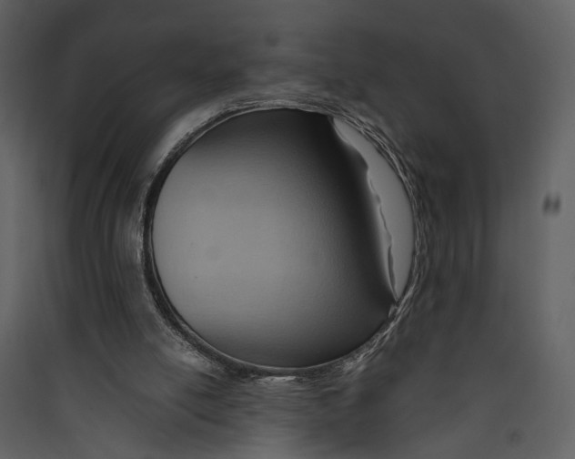 X0000089370054200707131646