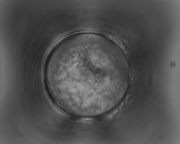 X0000089370055200707131646