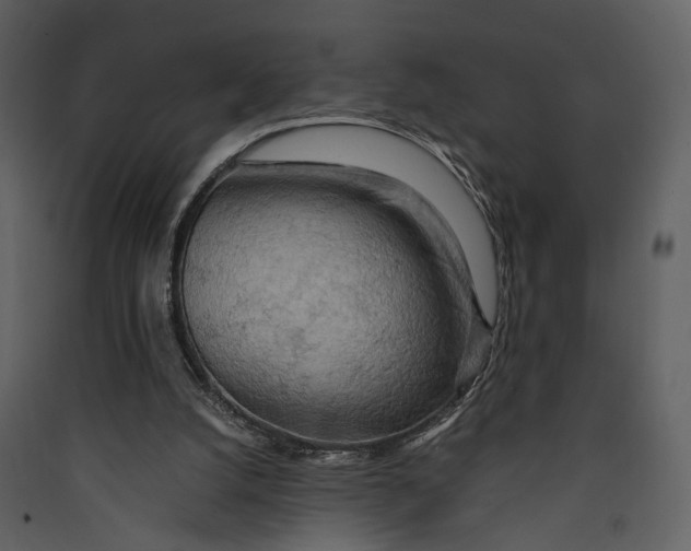 X0000089370056200707131646