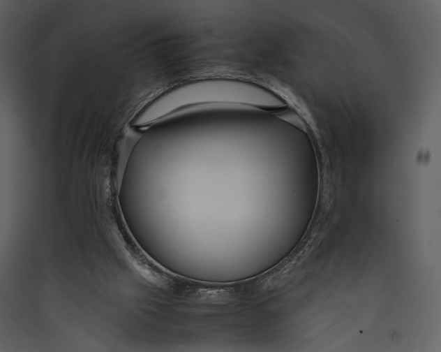 X0000089370057200707131646