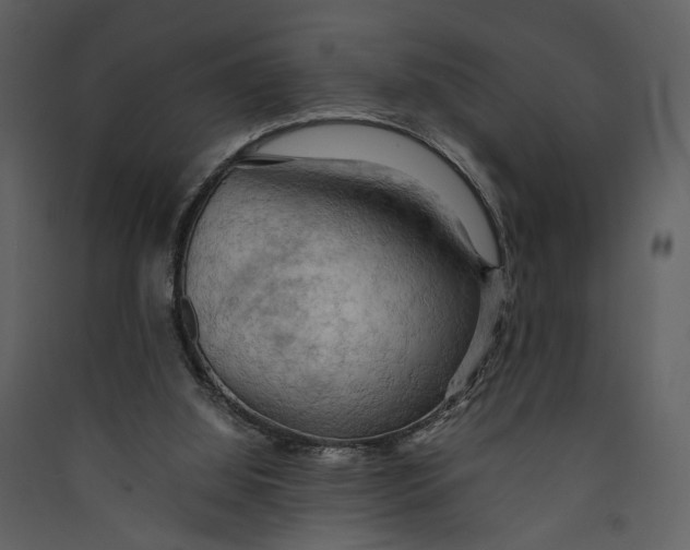 X0000089370060200707131646