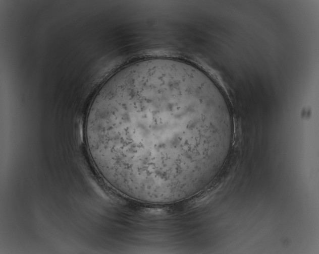 X0000089370061200707131646