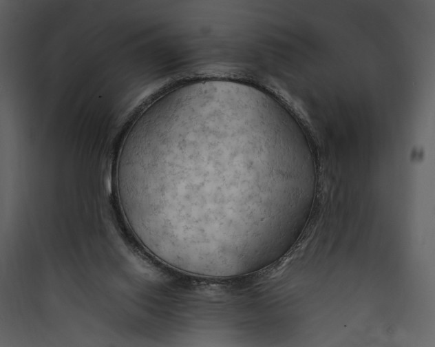 X0000089370062200707131646