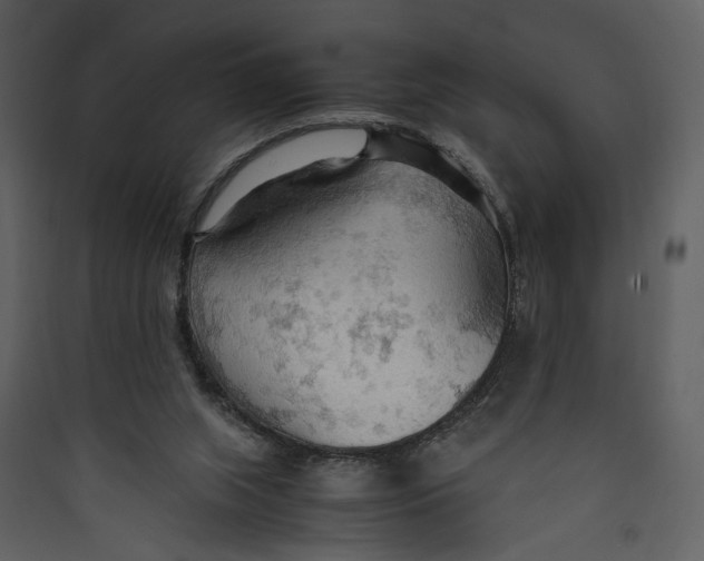 X0000089370063200707131646