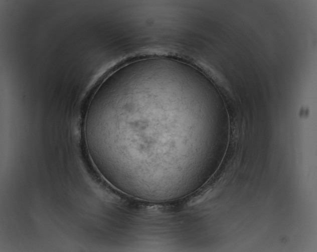 X0000089370064200707131646