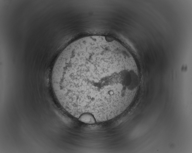 X0000089370065200707131646