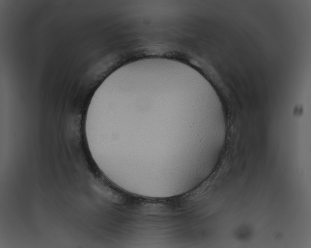 X0000089370066200707131646