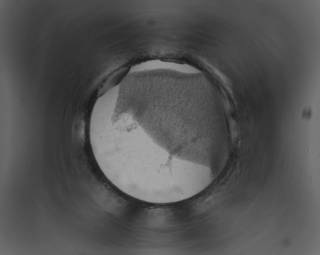 X0000089370067200707131646