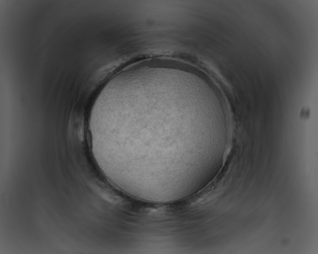 X0000089370068200707131646